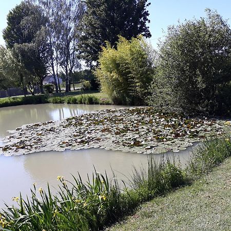 Feings  Comme A La Maison Pres Des Chateaux De La Loire מראה חיצוני תמונה