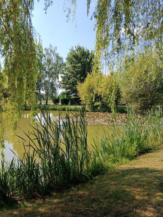 Feings  Comme A La Maison Pres Des Chateaux De La Loire מראה חיצוני תמונה