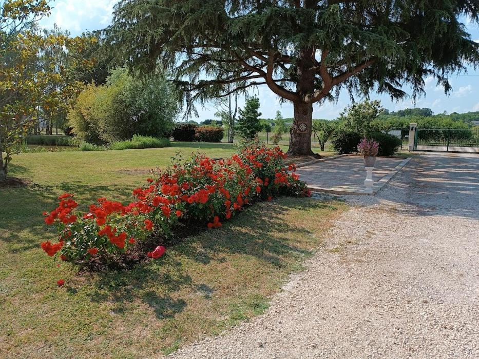 Feings  Comme A La Maison Pres Des Chateaux De La Loire מראה חיצוני תמונה