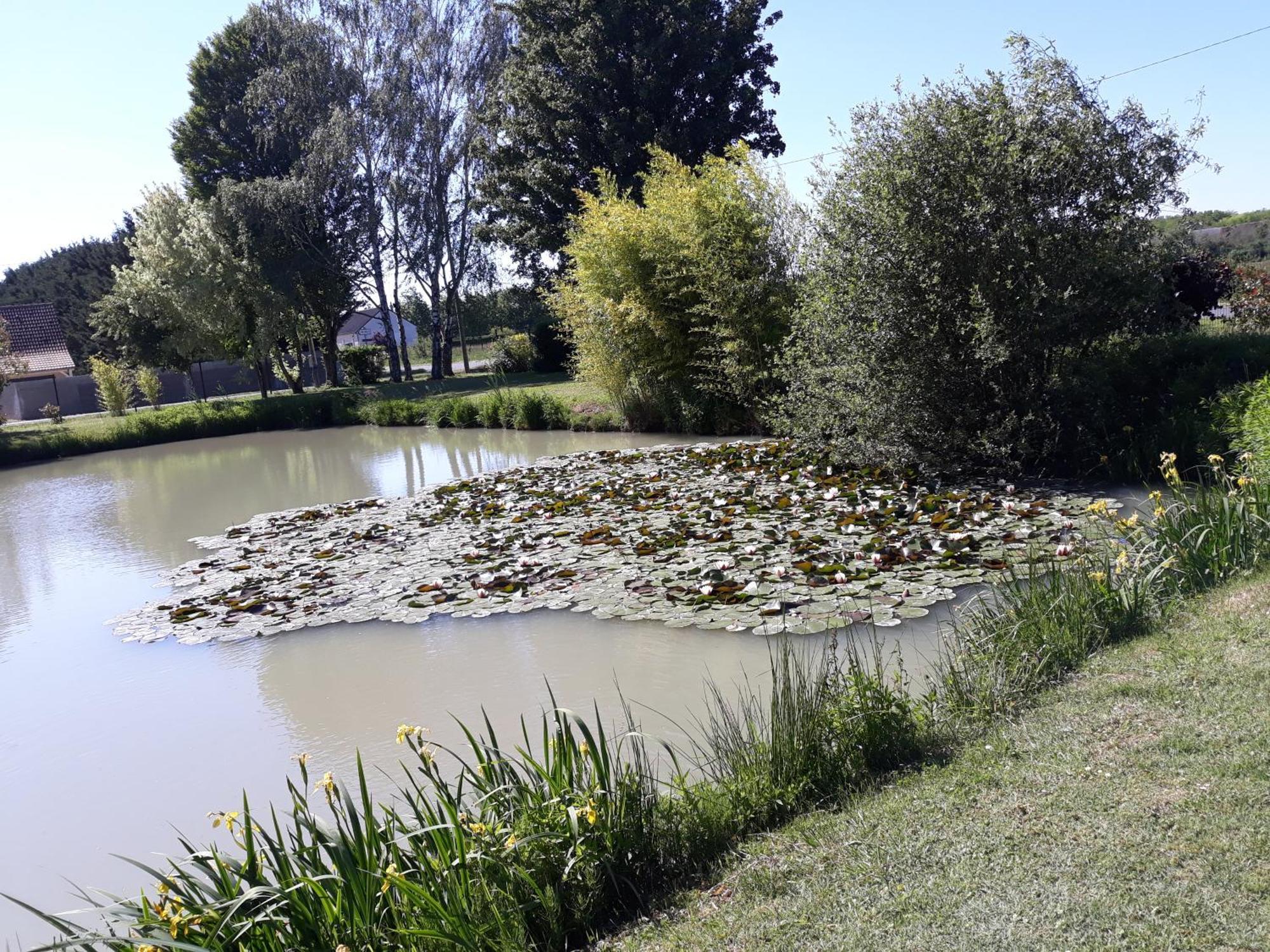 Feings  Comme A La Maison Pres Des Chateaux De La Loire מראה חיצוני תמונה
